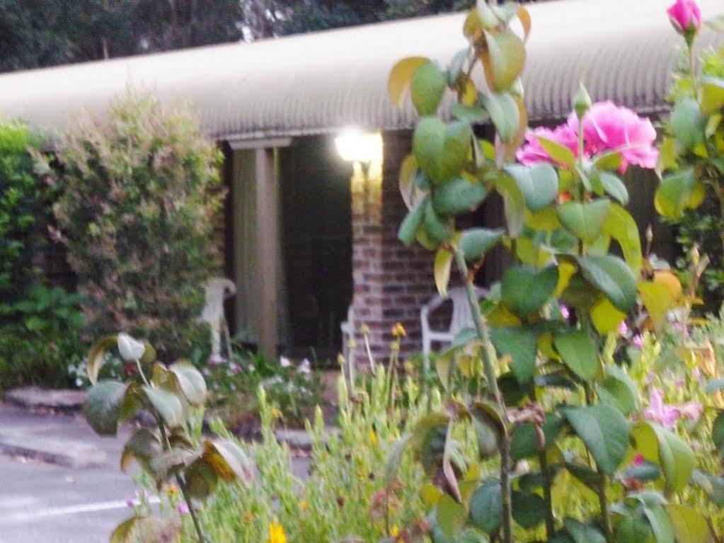 Tea Gardens Motel Exterior photo